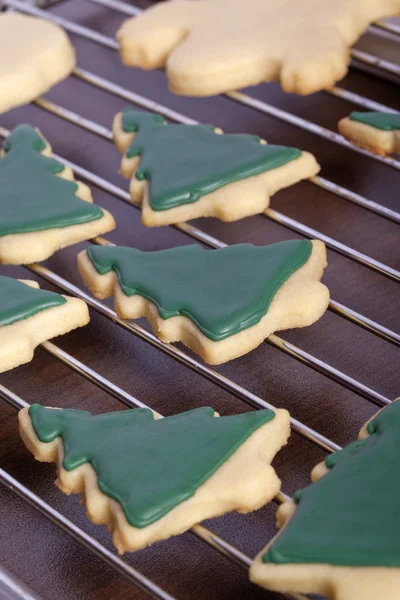 Biscuits d'arbre de Noël — Photo