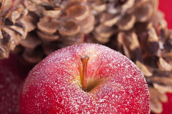 Conos de manzana y pino de invierno —  Fotos de Stock