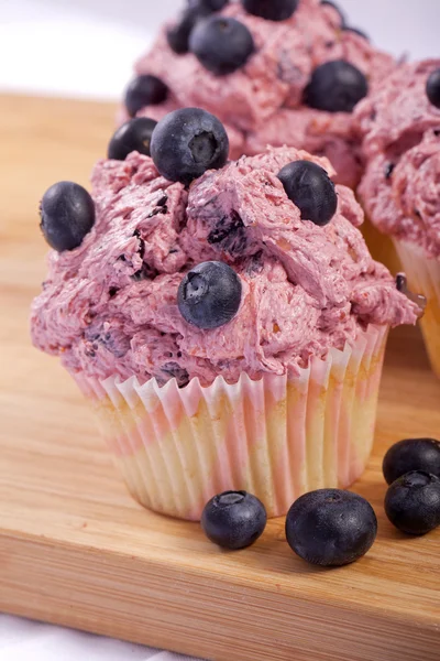 Blueberry cupcake — Stockfoto
