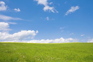 Landscape with field and sky clipart
