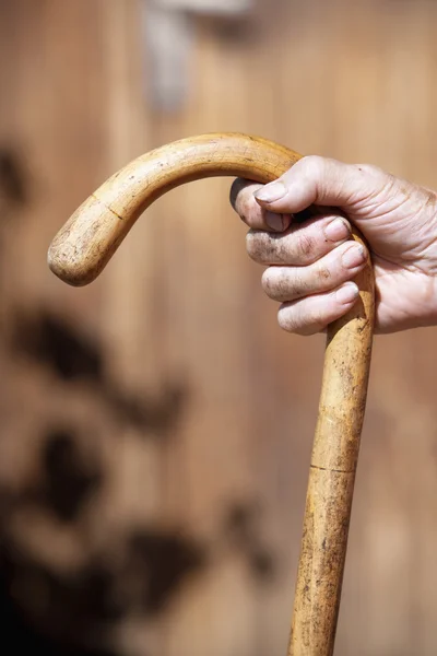 Hand holding a cane — Stock Photo, Image