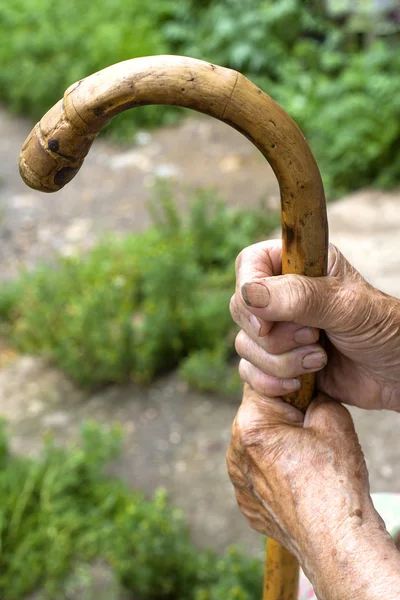 Manos de una anciana con bastón — Foto de Stock