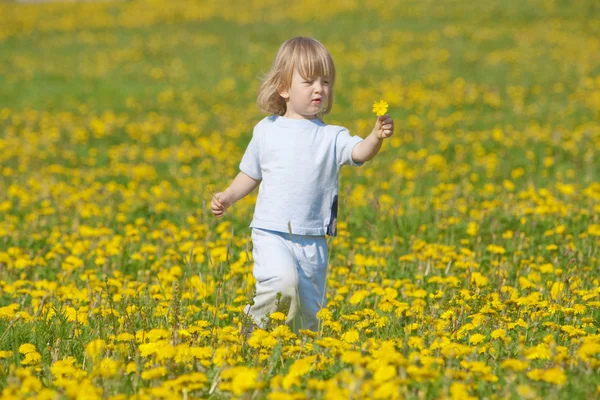Boy with a dandelion — Stock Photo, Image