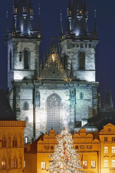 Prága karácsonyi fa — Stock Fotó