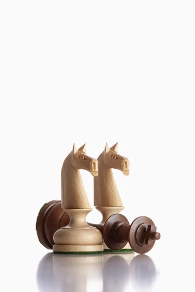 Chess knights — Stock Photo, Image