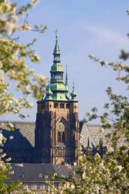 Prag, St. Vitus Katedrali