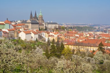 Prag Kalesi hradcany