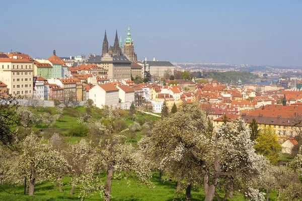 Castello di Praga hradcany — Foto Stock