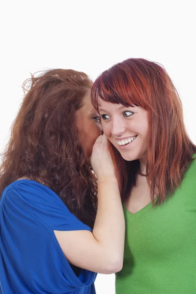 Mujeres susurrando chismes —  Fotos de Stock