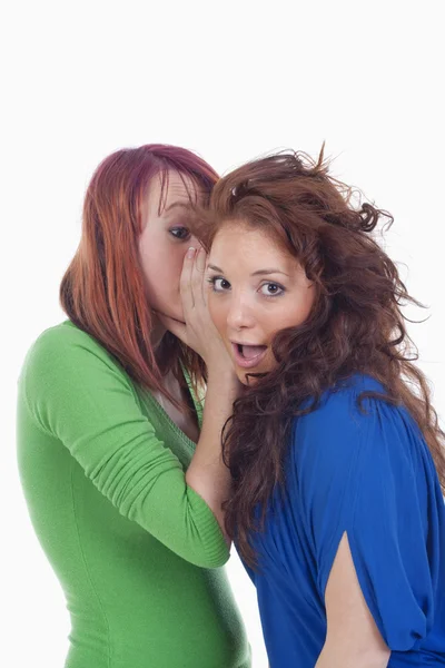 Vrouwen fluisteren gossip — Stockfoto