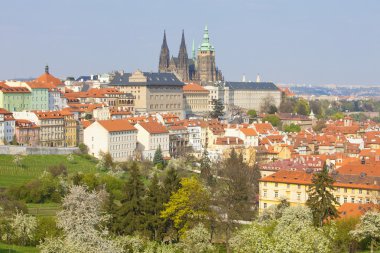 Prag Kalesi hradcany