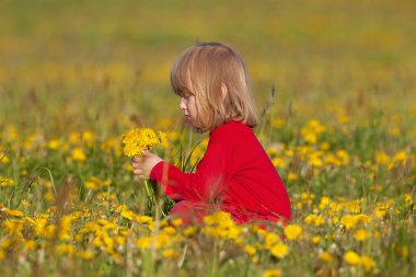 çocuk malzeme çekme dandelions