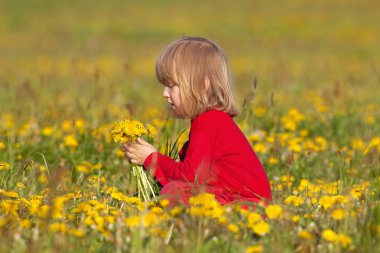 çocuk malzeme çekme dandelions