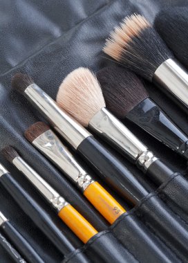 Set of professional make-up artist«s brushes