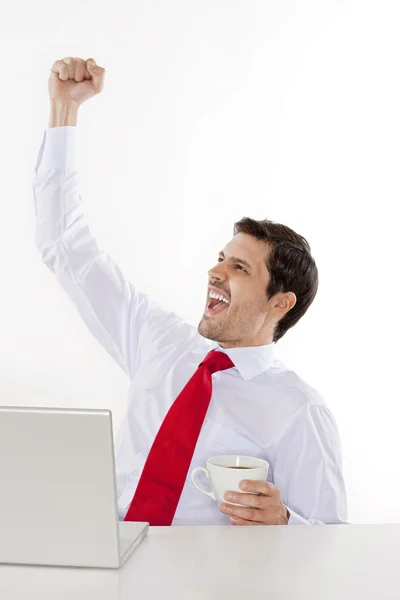 Businessman cheering — Stock Photo, Image