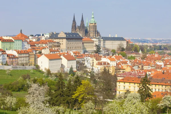 Κάστρο Χρατσάνι της Πράγας — Φωτογραφία Αρχείου