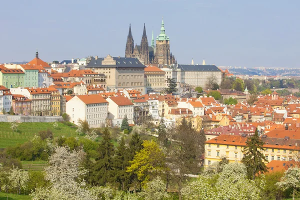 Prag Kalesi hradcany — Stok fotoğraf