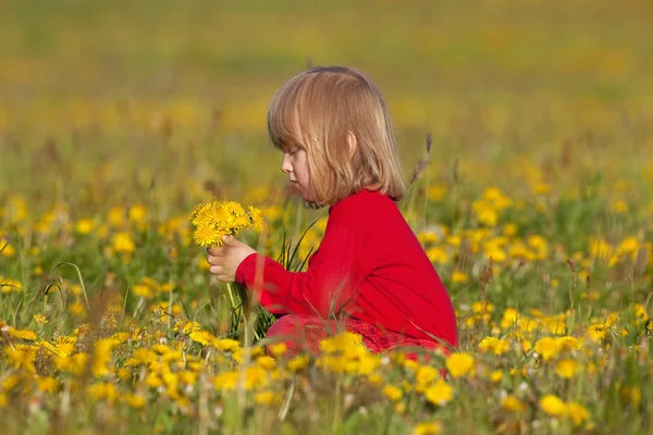 Çocuk malzeme çekme dandelions — Stok fotoğraf
