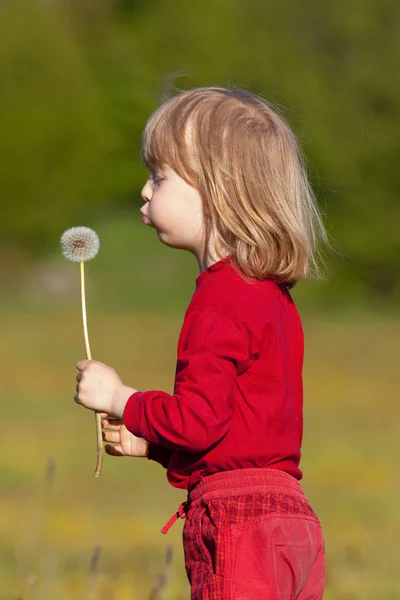 Çocukla bir karahindiba — Stok fotoğraf