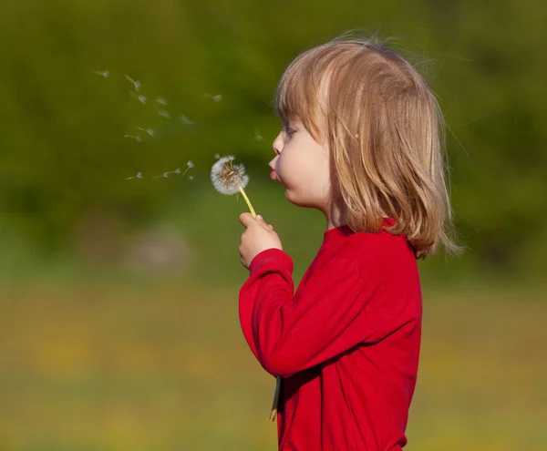 Boy with a dandelion — Stock Photo, Image