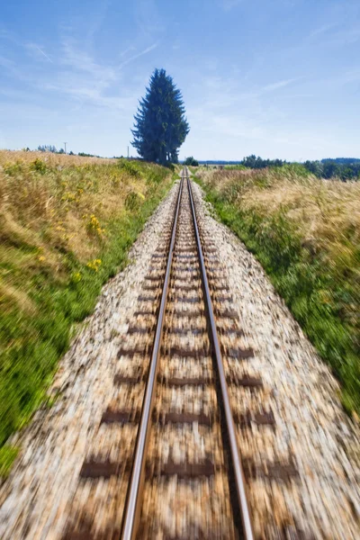 좁은 계기 철도 트랙 — 스톡 사진