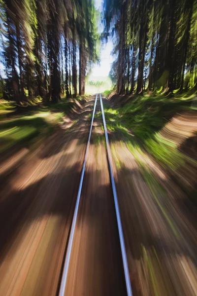 Smalspårig järnväg spår — Stockfoto