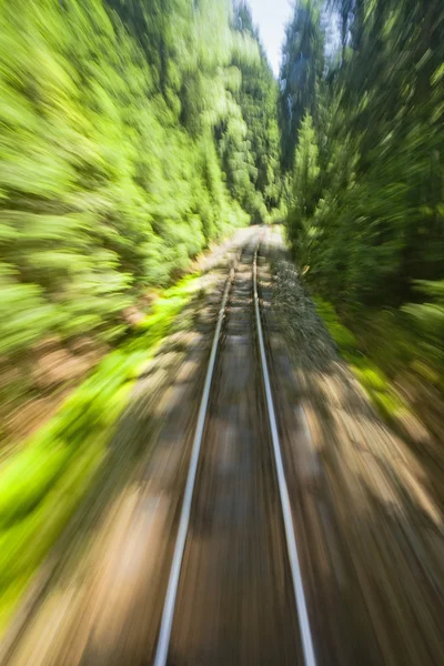Вузькоколійна залізнична колія — стокове фото