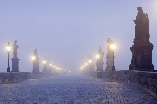 Pont Charles de Prague — Photo