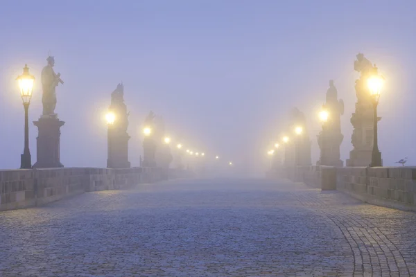 Ponte Carlo di Praga — Foto Stock
