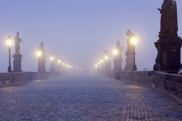 Pont Charles de Prague — Photo