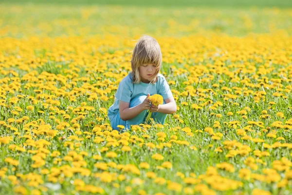 Çocuk malzeme çekme dandelions — Stok fotoğraf