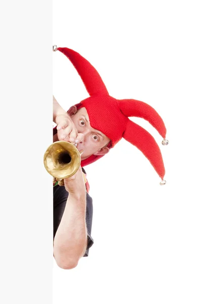 Bobo soando trompete — Fotografia de Stock