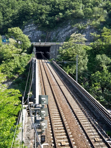 Järnvägsbro och tunel — Stockfoto