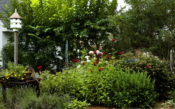 Trädgård i blom — Stockfoto