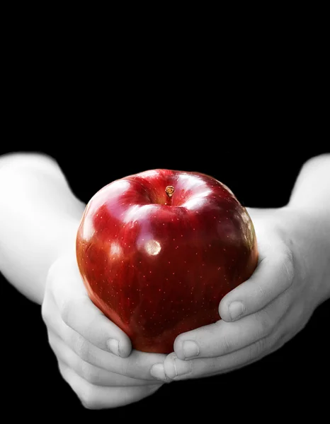 Ruce držící červené jablko — Stock fotografie