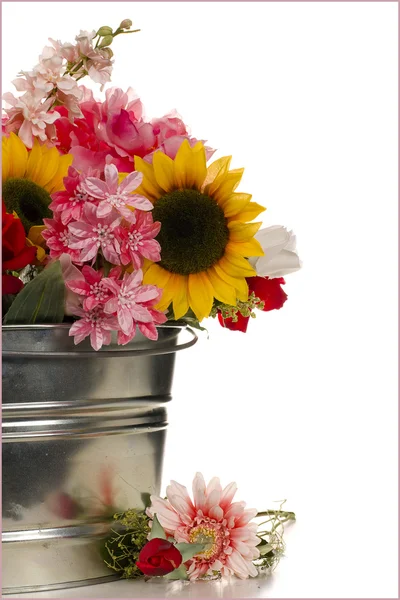 Eimer mit Blumen — Stockfoto