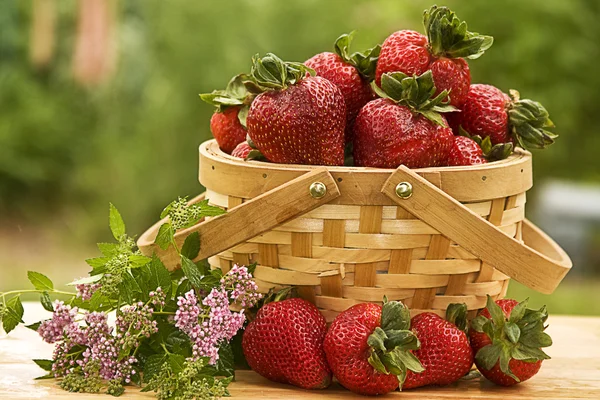 stock image Basket of Strawberries in the SUN