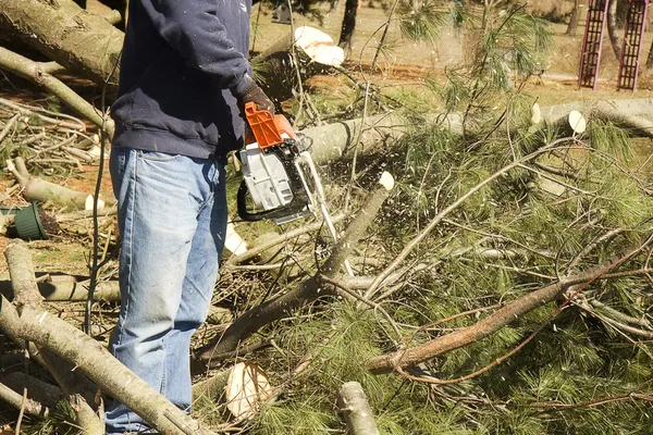 Chainsaw snijden bomen — Stockfoto