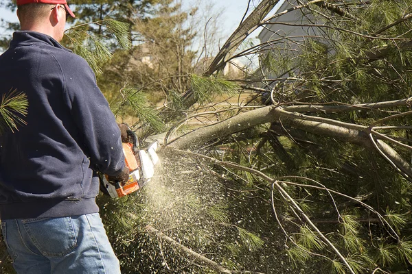 Man Cutting Down Tree — Stock Photo, Image