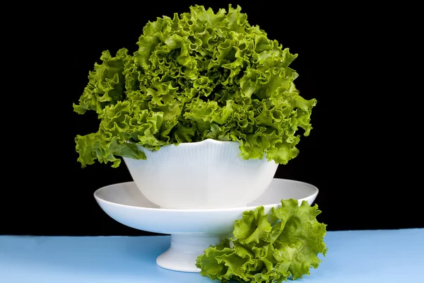 Stock image Rich Green Leafy Vegetable