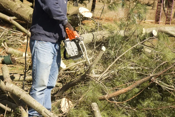 木を切るチェーンソー ロイヤリティフリーのストック写真