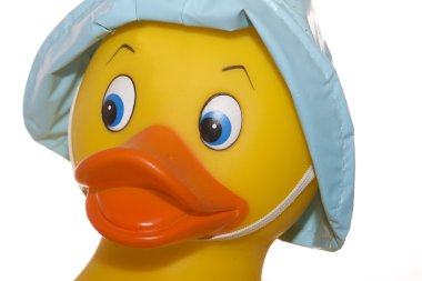 Toy Duck Portrait clipart