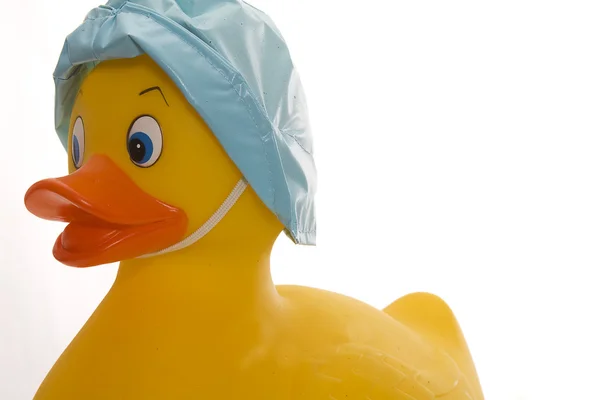 stock image Side-view Rubber Ducky