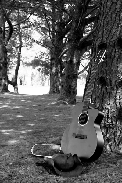 Guitarra descansando por árbol —  Fotos de Stock