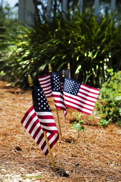 Zászlók, kertben — Stock Fotó