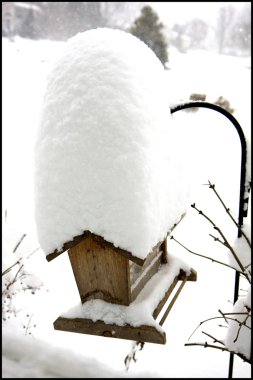 karla kaplı birdfeeder