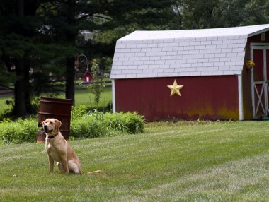 Old Red Farms clipart