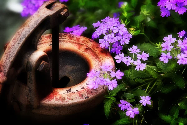 Rusty pump among the flowers — Stock Photo, Image