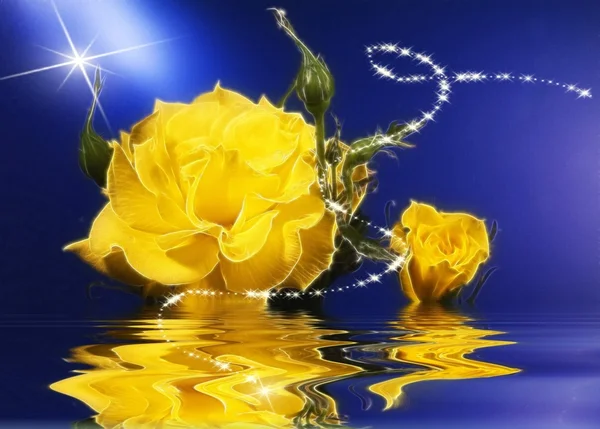 Gelbe Rosen über dem Wasser — Stockfoto