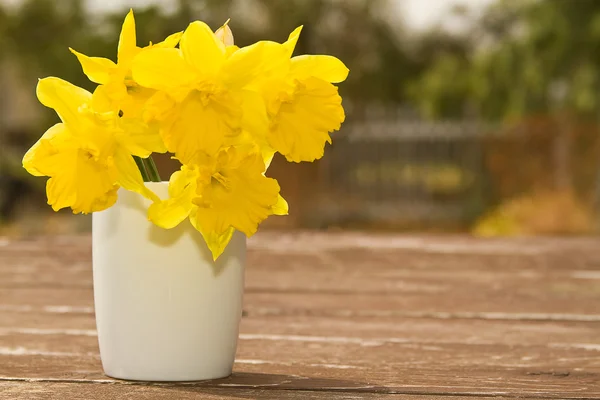 Daffodils em um copo branco — Fotografia de Stock
